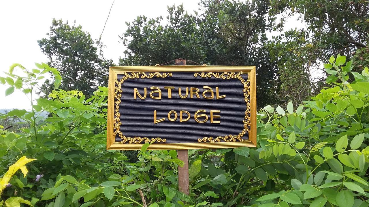 Natural Lodge 2 Selemadeg  エクステリア 写真